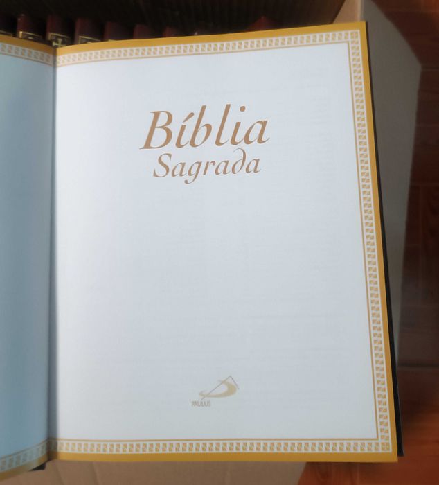 Bíblia Sagrada Ilustrada - 15 Volumes, Coleção Completa 2004