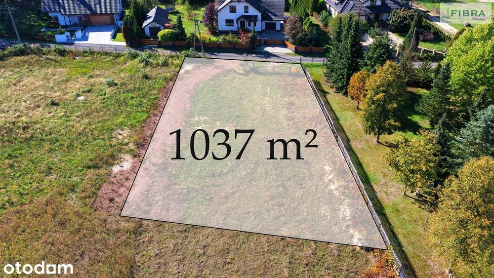 Tam, gdzie śpiewają ptaki - Widok 4