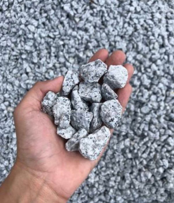 Grys Granitowy Dalmatynczyk KAMIEN