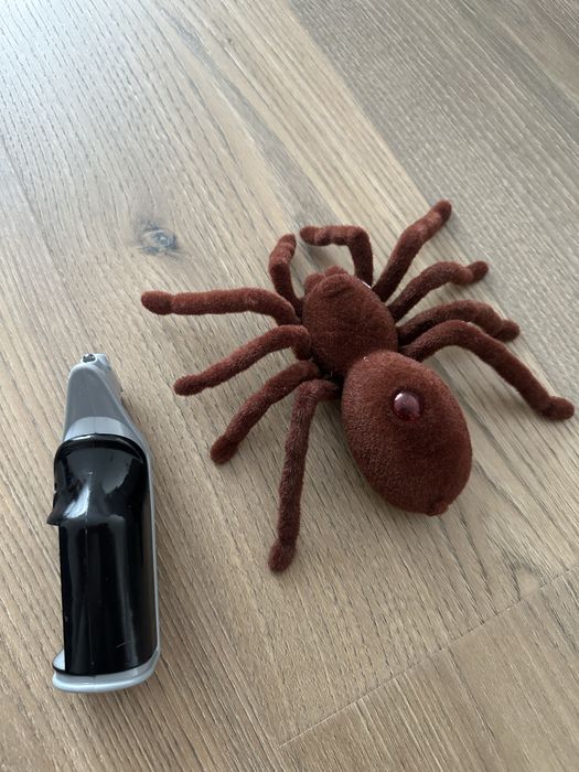 Павук птахоїд на батарейках та пульті