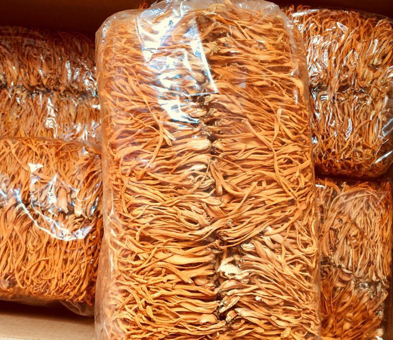 Кордицепс найкращої якості