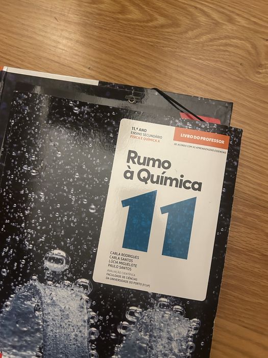 Manual e caderno de atividade do professor: Rumo à Química 11°ano