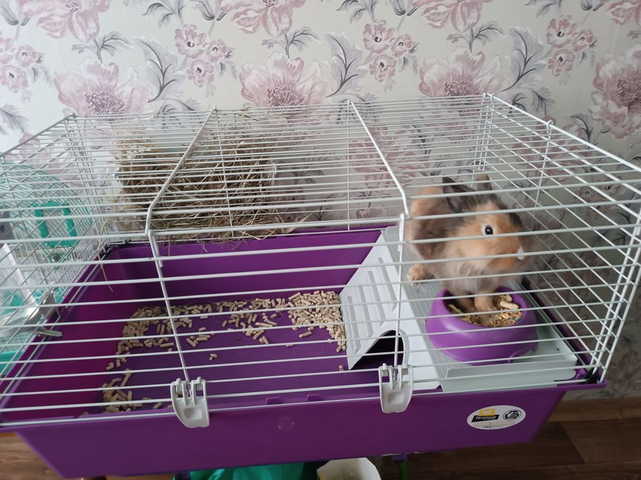 Продам клєтку для кролика