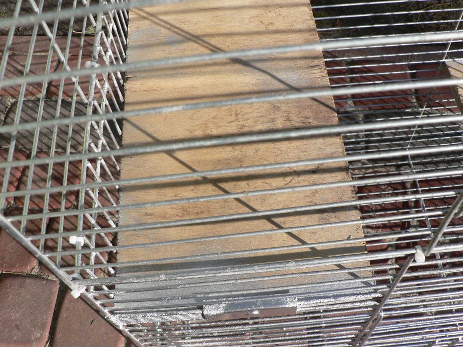 Klatka dla królika , szynszyla .