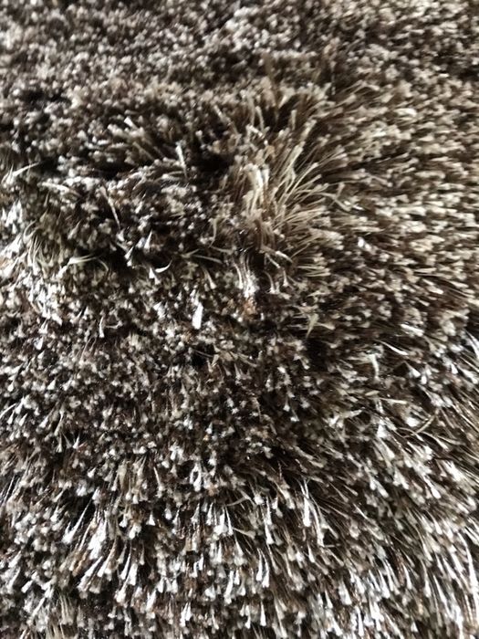 Shag Rug64740465323907123