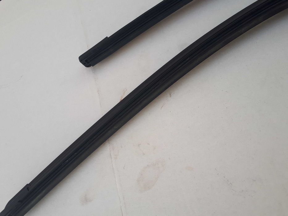 Bochn     .              .