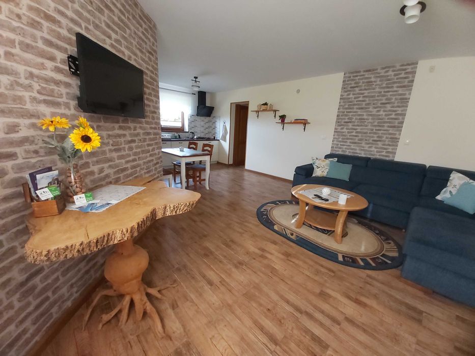 Wypoczynek w górach. Apartament u Basi Zakopane-Dzianisz-Chochołów