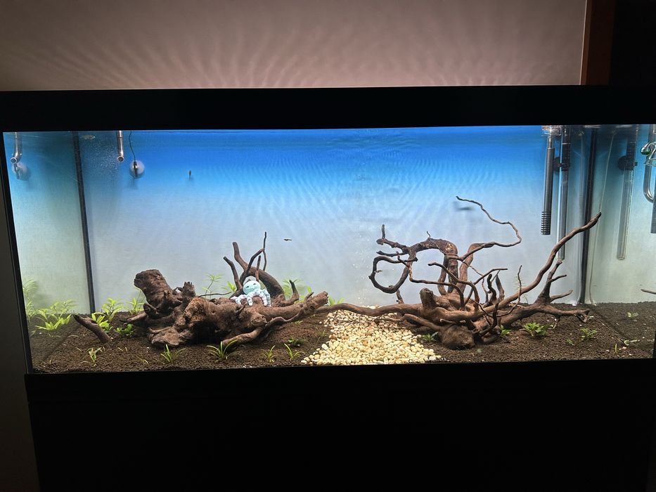 Aquario e movel Eheim
