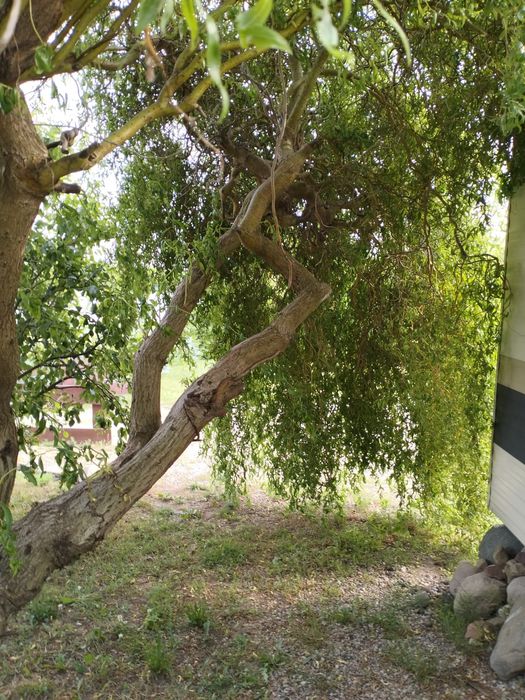 Domek nad jeziorem brodnickie pojezierze