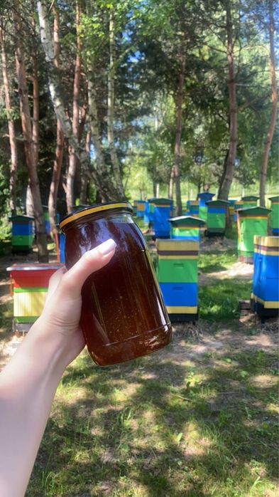 Naturalny Miód spadziowy z własnej domowej pasieki