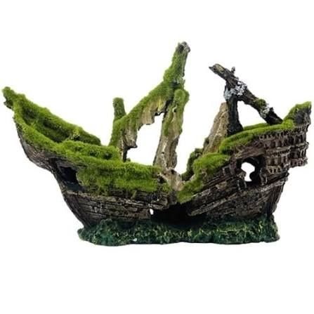 Wrak statku Aqua Nova