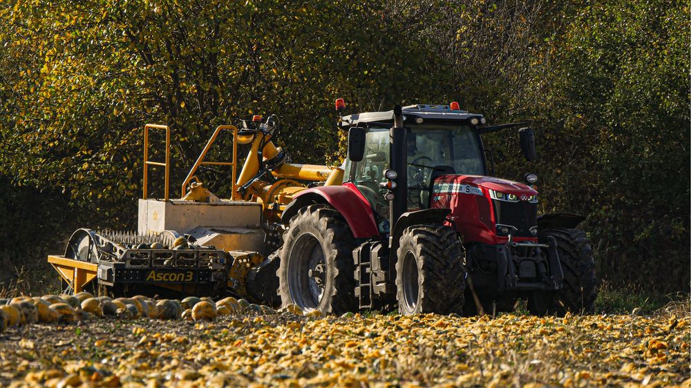 WYKONAM usługę wybierania pestki dyni Austriackim kombajnem ASCON
