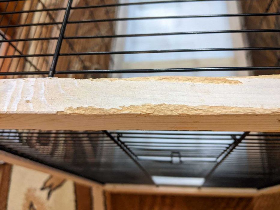 Большая клетка для попугая Ferplast Giulietta