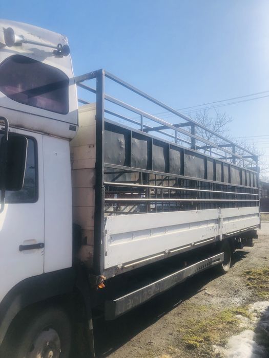 Перевезення тварин ВРХ,свині,барани