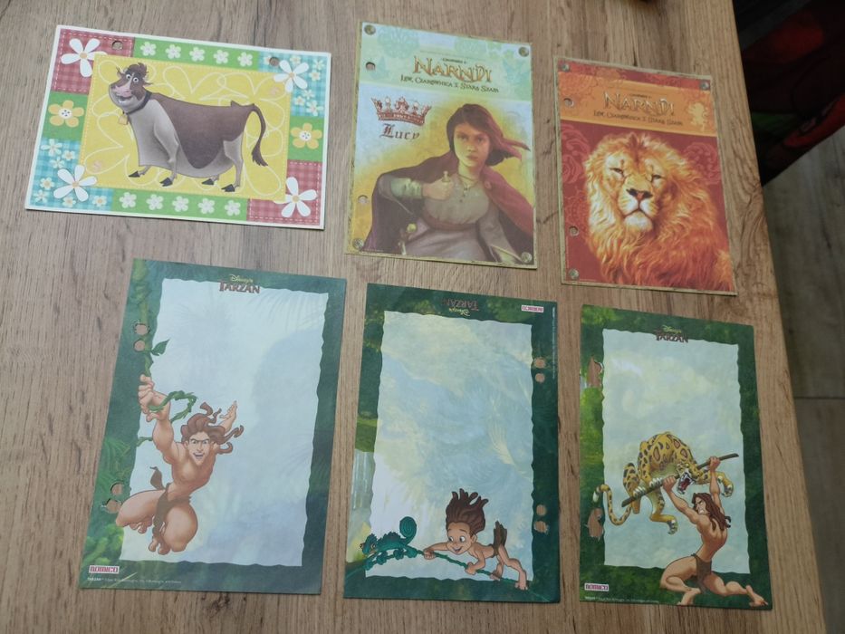 Karteczki do segregatora