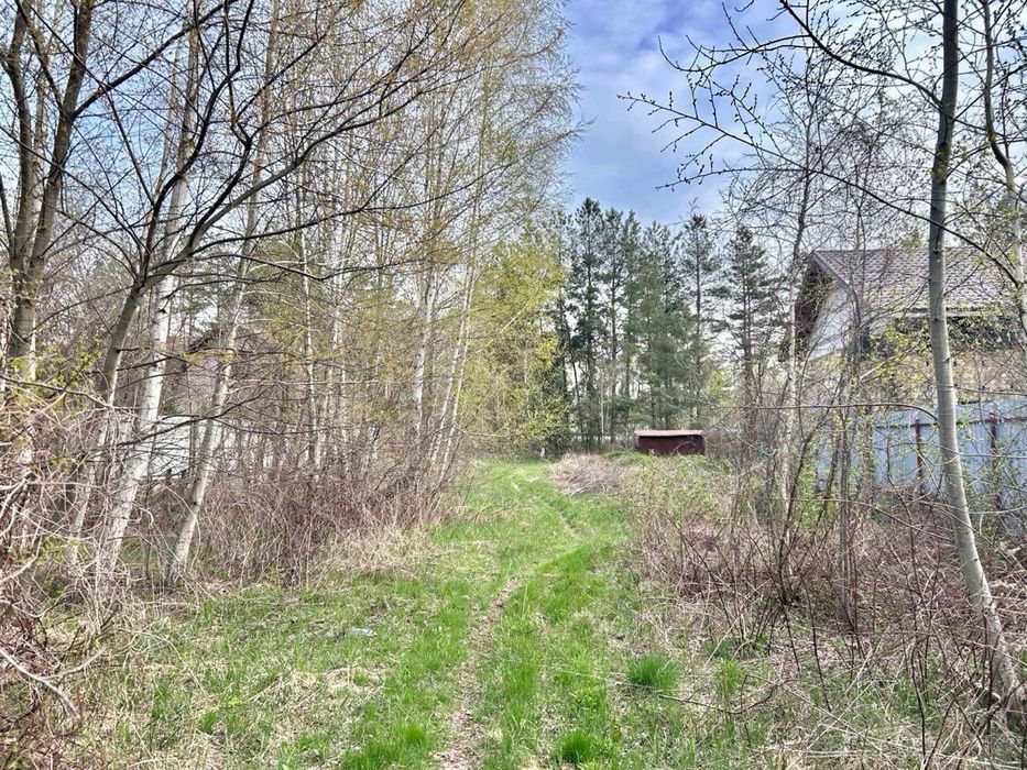 Продам ділянку біля  лісу у Блиставиці