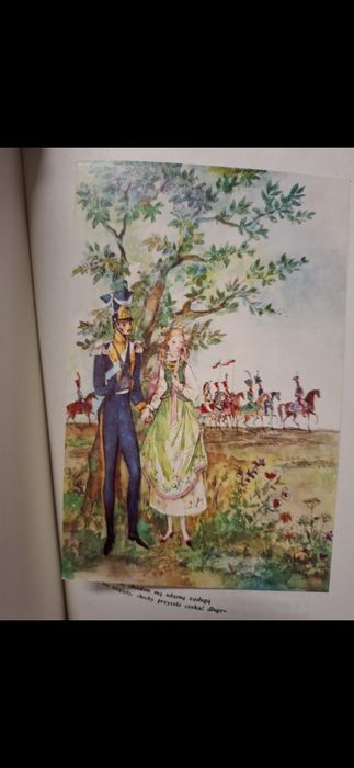 A. Mickiewicz Pan Tadeusz , Szancer, skóra