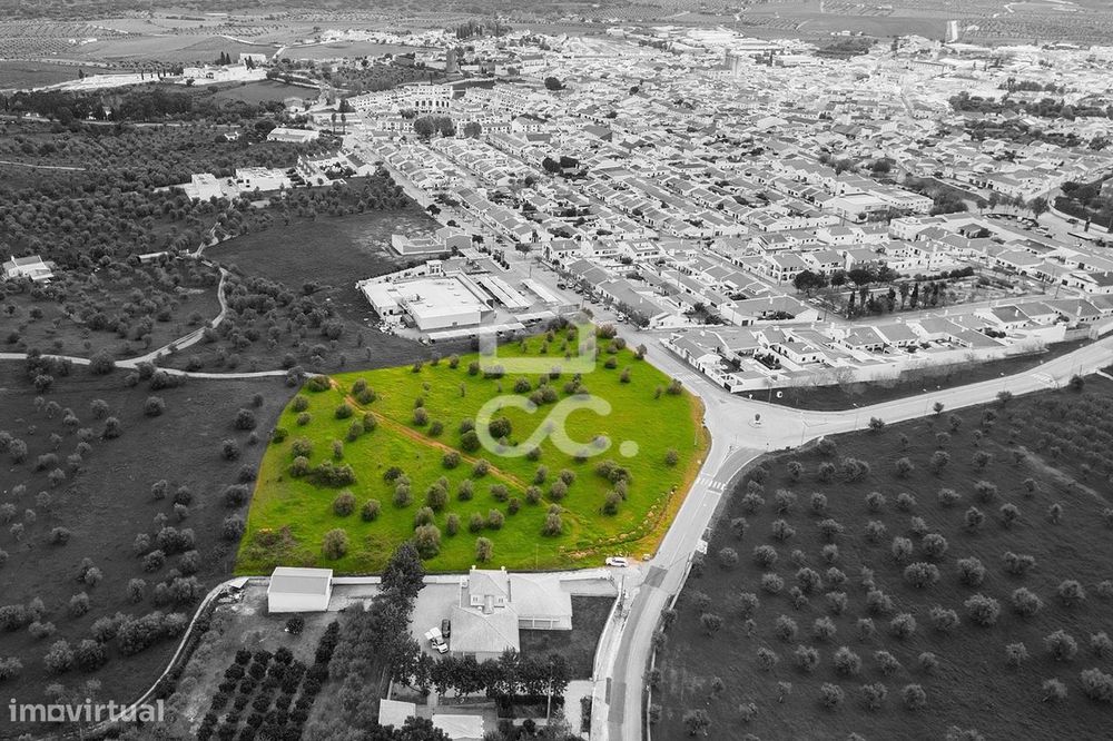 1.25-hectare Plot for Construction | Redondo