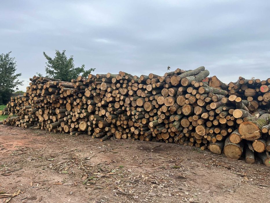 Drewno opałowe, kominkowe wałki