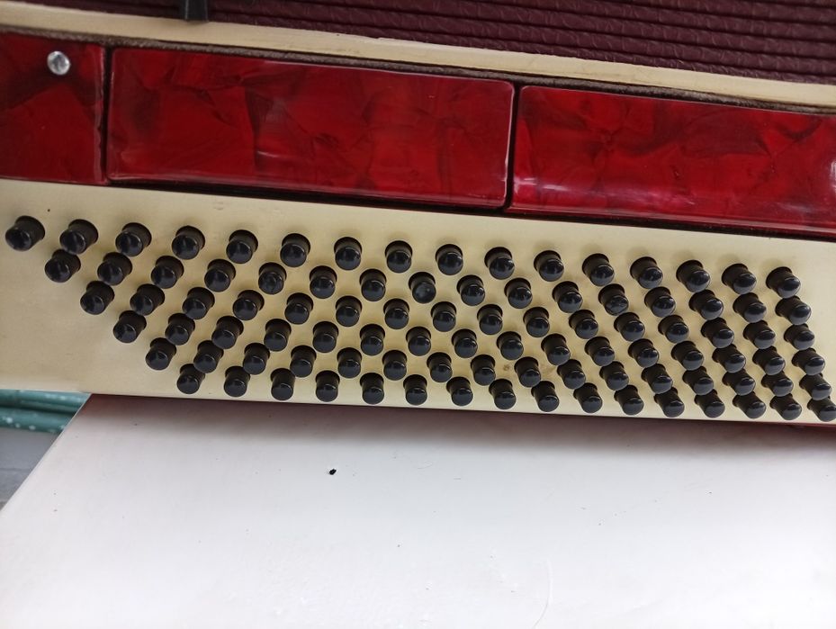 Acordeão Parrot 96 baixos