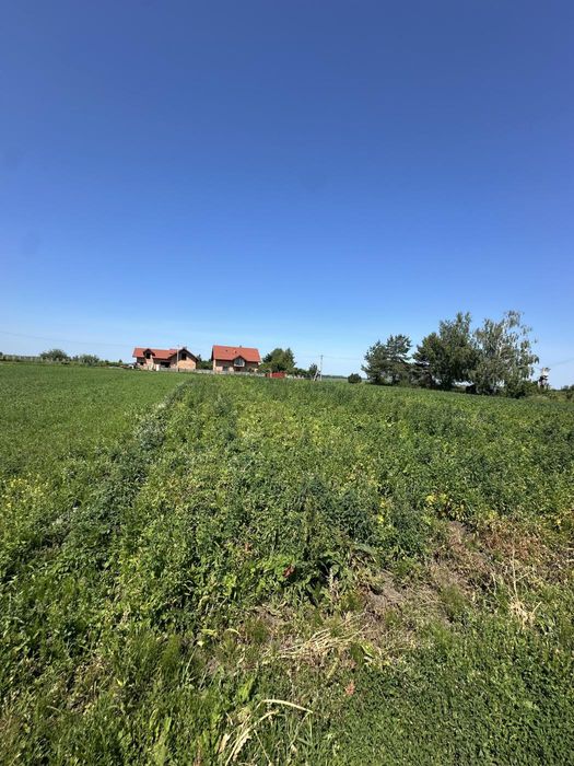 Продаж земельної ділянки с.Кошелів