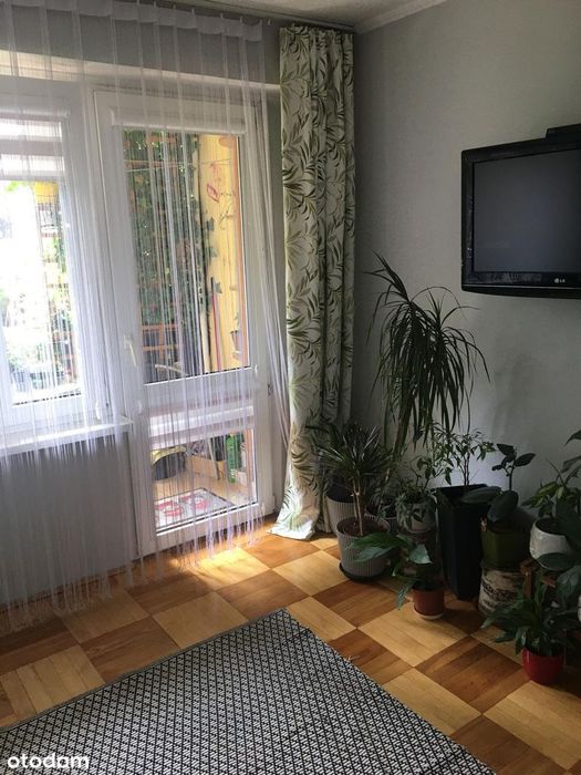 Przytulne mieszkanie nad Sanem