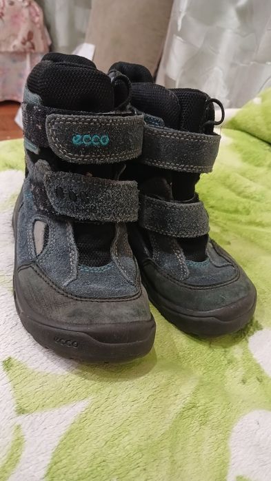 Взуття фірми Ecco