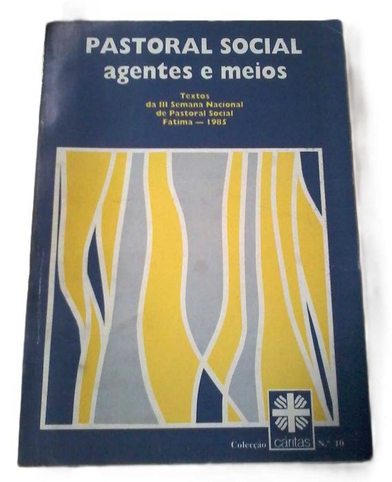 Pastoral Social, Agentes e Meios