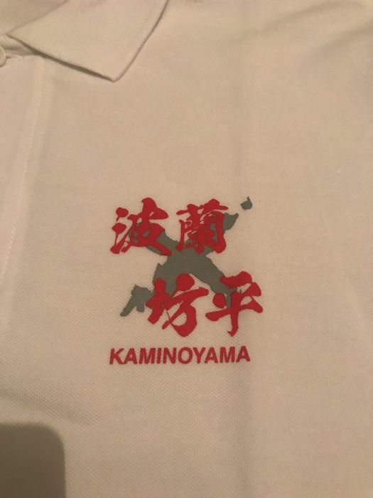 Koszulka do treningiw i chodzenia mizuno oryginalna z japonii