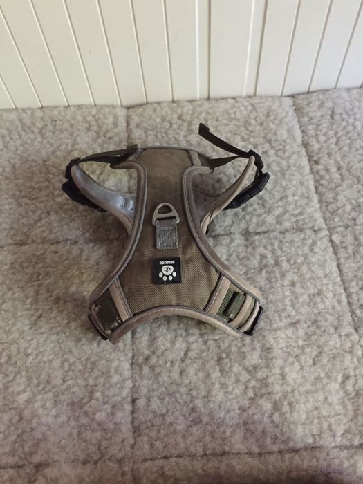 szelki dla psa do 15 kg
