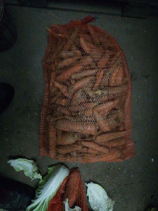Marchew 20 kilo paszowa odpadową od rolnika wysyłka inpost paczkomat
