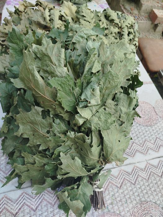 ДУБОВИЙ ВЕНІК. ГУРТ. Венік для сауни бані. Веник дубовый.