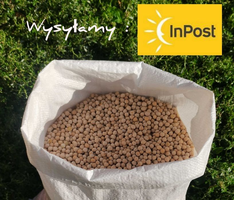 Groch opakowanie 25kg wysyłka natychmiast Inpost