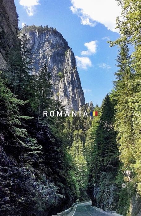 Громадянство Руминії. Присяга. Сертифікт румунської мови