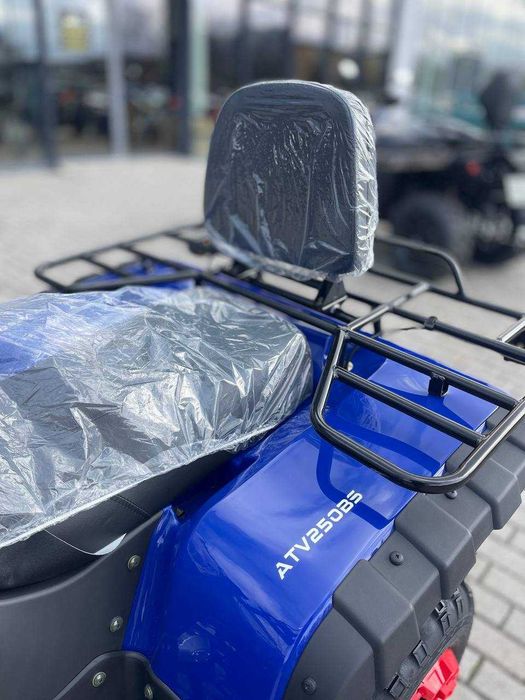 Квадроцикл FORTE ATV 250 bs