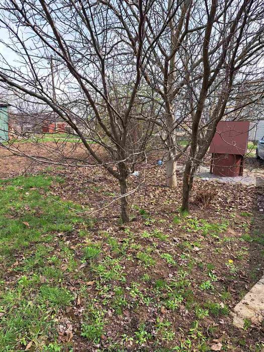 Продається земельна ділянка в ЯРу