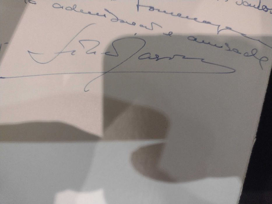 Tumores e Gestação (Est. Clínico e Exper.) - João da Silva Carvalho