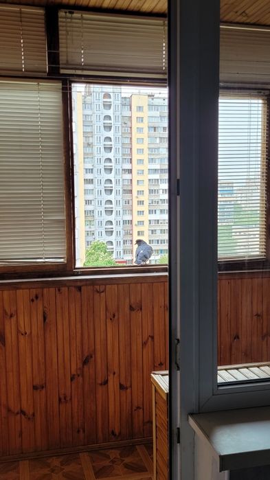 ЗДАМ 1кімнатну квартиру на Троєщині  Фестивальний