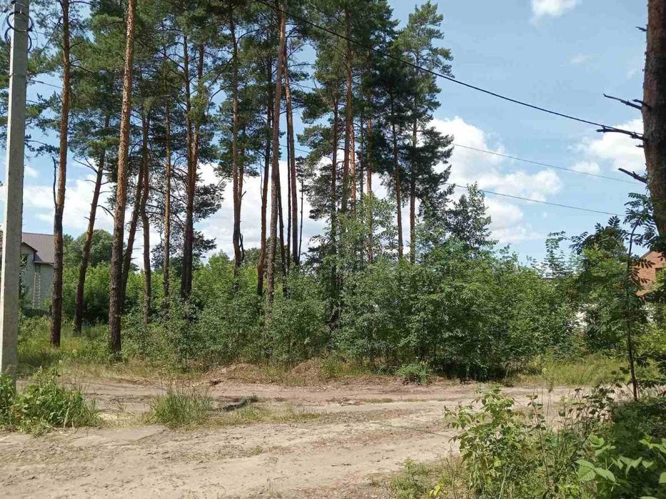 Чудова ділянка 10 соток біля лісу провулок Радистів Биківня Лісова! - View 3