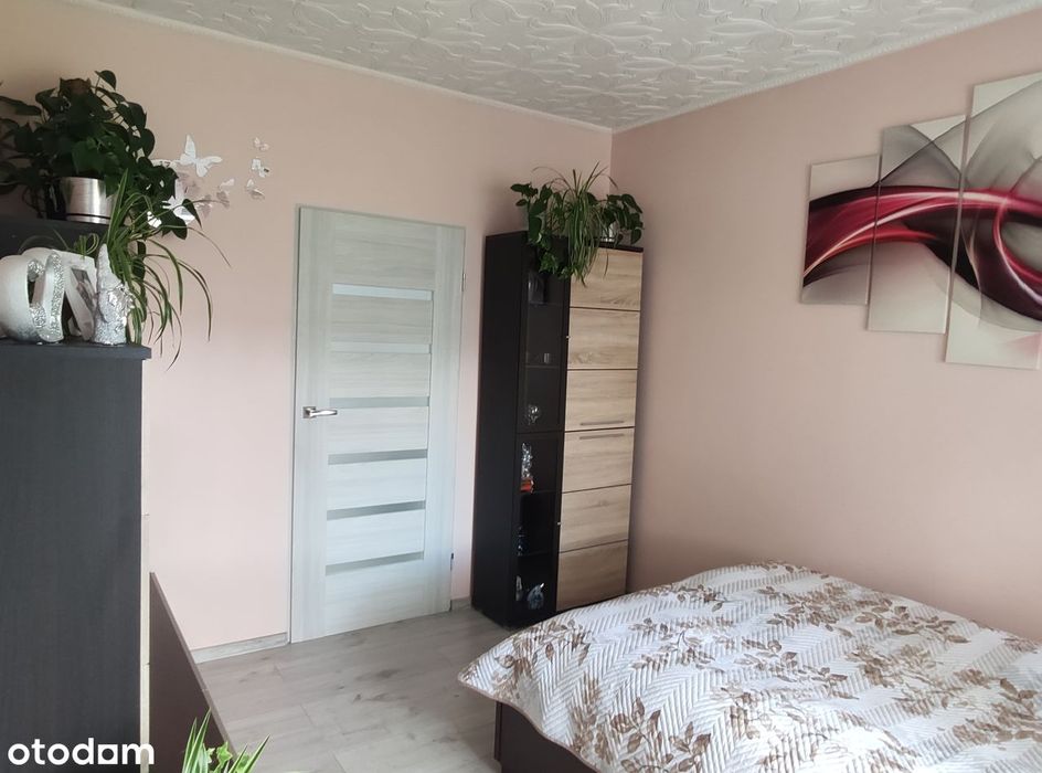 Siedlisko z domem 80m² na działce 6200m²