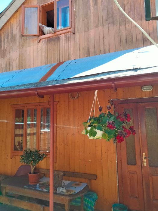 Оренда котеджа. Над Прутом