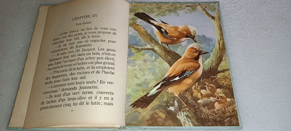 Livro antigo Au pays des bêtes anos 50 edição belga