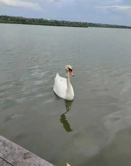 Отличный  2х этажный Дом  Первая линия Красивый вид