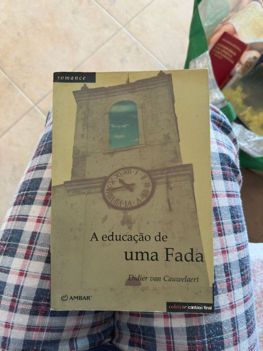 Livro A Educação De Um Fada