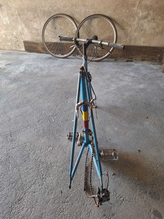 tonandorocha1965