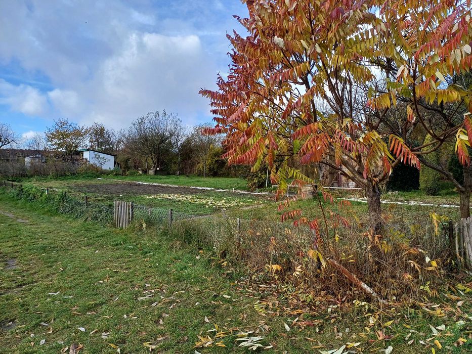 Duża działka ROD Mazur