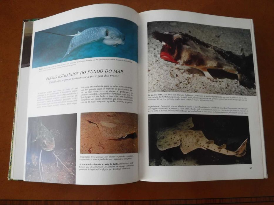 Segredos do Mar - Selecções do Readers Digest