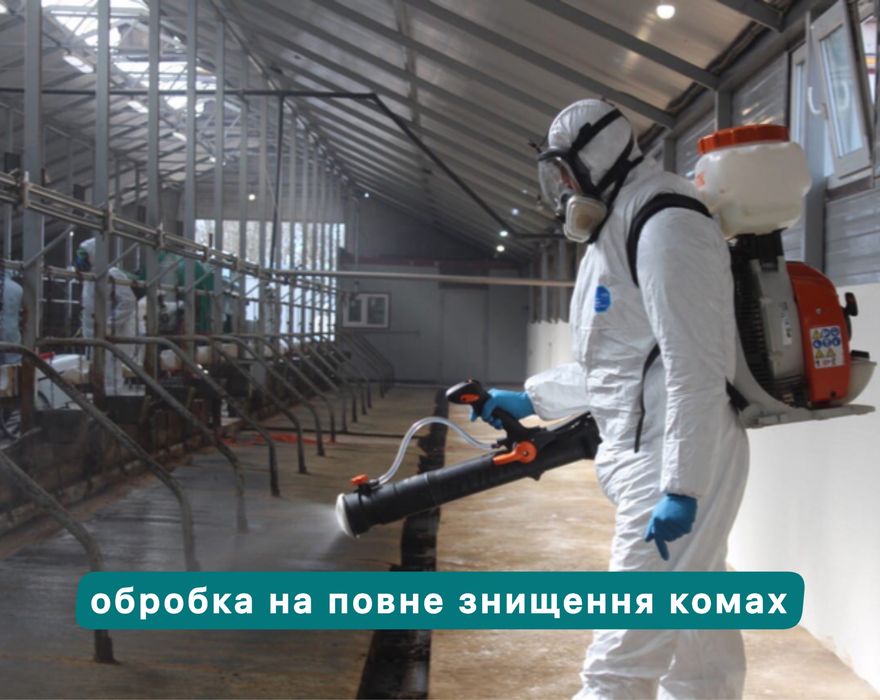 Травля тарганів клопів блох шершнів щурів мишей. Уничтожение тараканов клопов блох крыс мышей . Вытравить тараканов. Удаление плесени