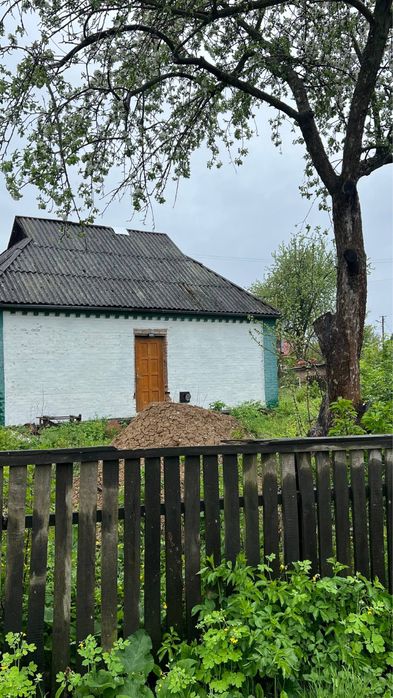 Продаж будинку в м. Багачеве, Черкаська область