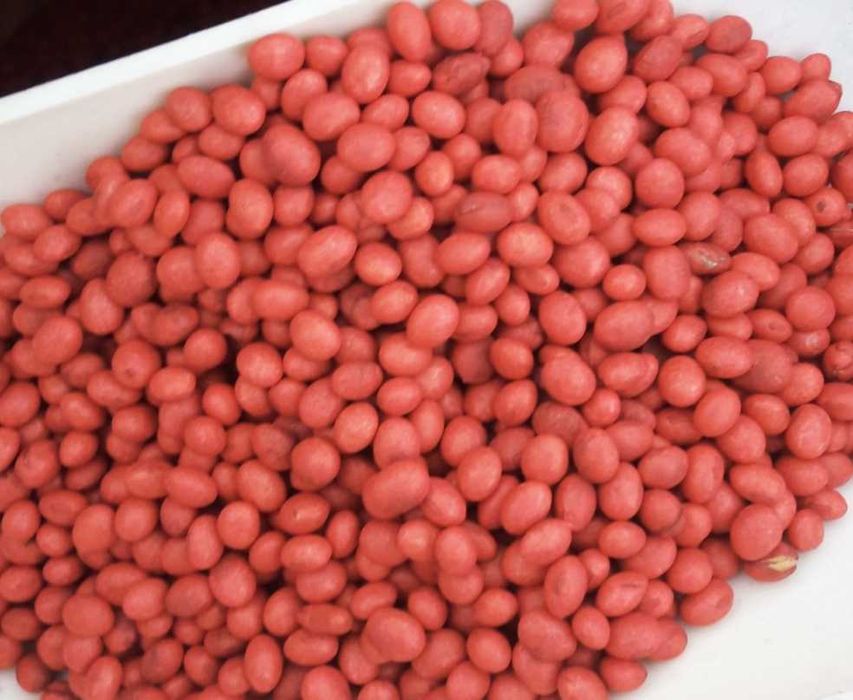 Соя KANSAS, насіння ГМО, канадський сорт, ЕЛІТА